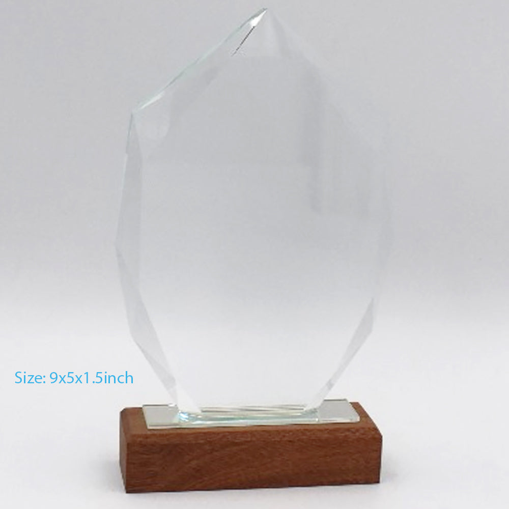 Glass Shield Award