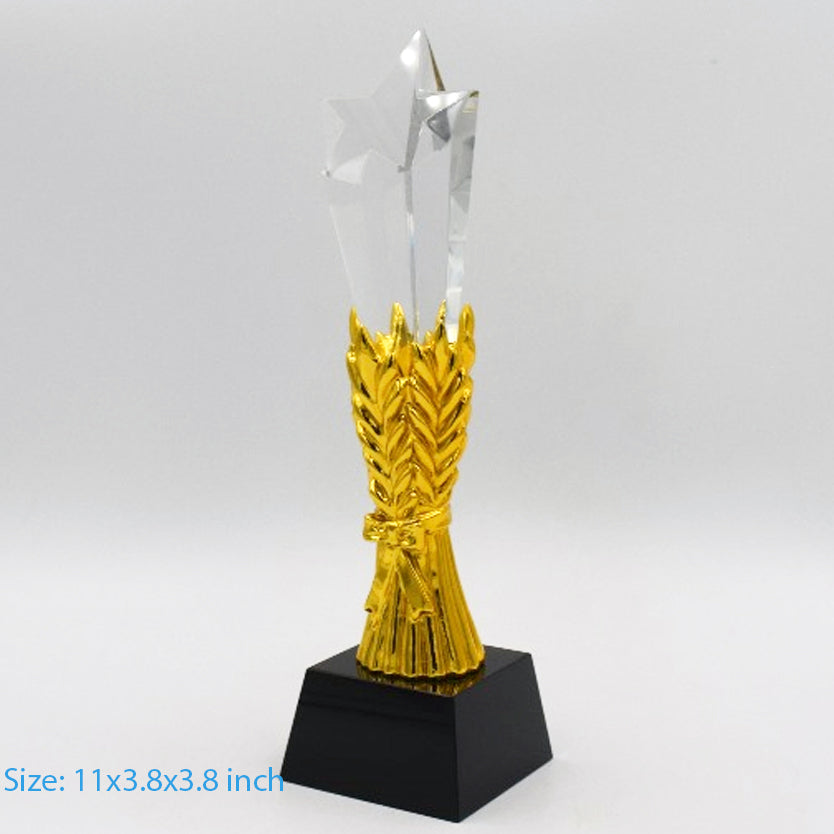 Sports Trophy